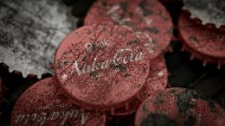 Nuka-Cola Bottlecaps